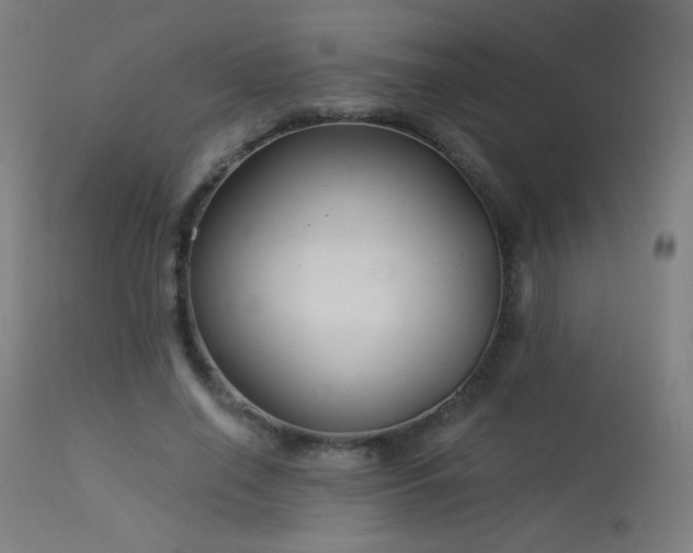 X0000114180638200910081500