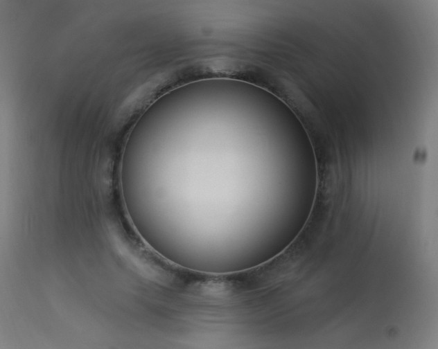 X0000114180639200910081500