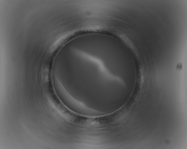 X0000114180640200910081500