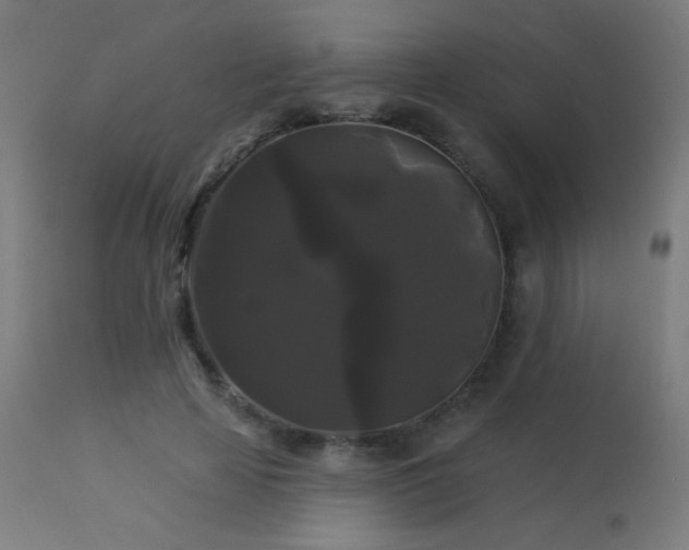 X0000114180641200910081500
