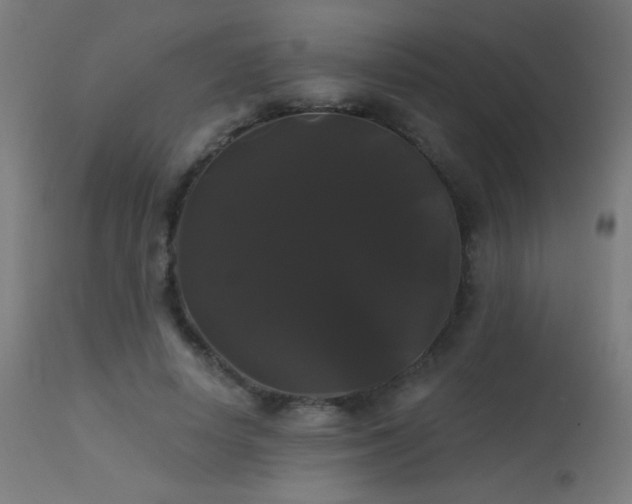 X0000114180642200910081500