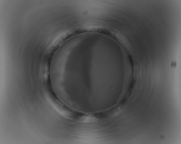 X0000114180644200910081500