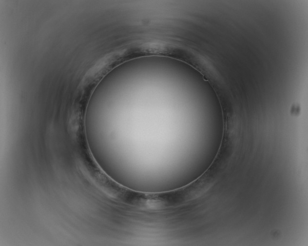 X0000114180645200910081500