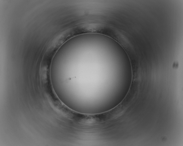 X0000114180646200910081500