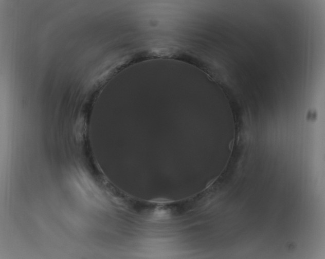 X0000114180647200910081500
