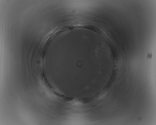 X0000114180648200910081500