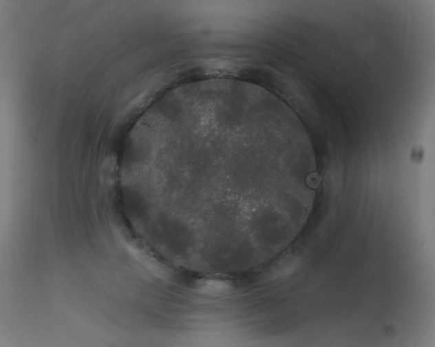 X0000114180649200910081500
