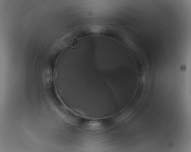 X0000114180651200910081500