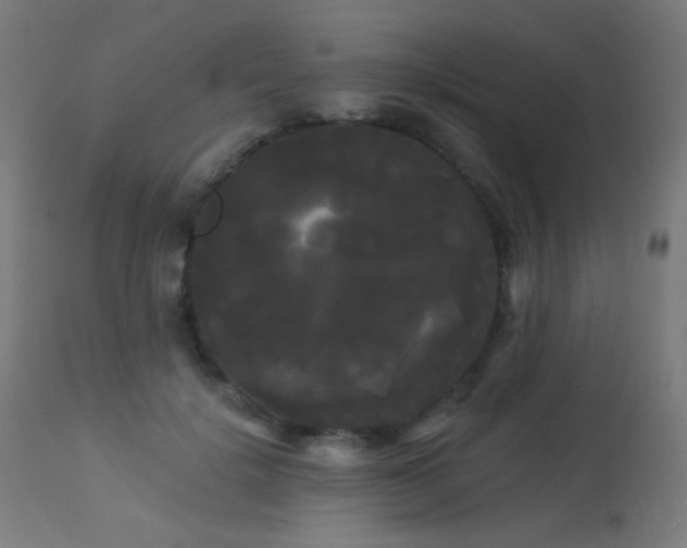 X0000114180652200910081500