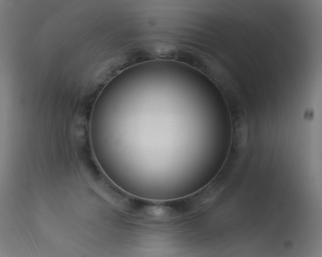 X0000114180654200910081500