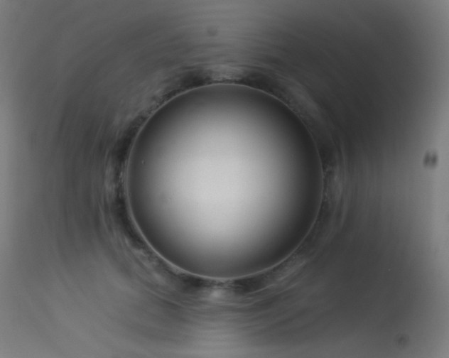 X0000114180655200910081500
