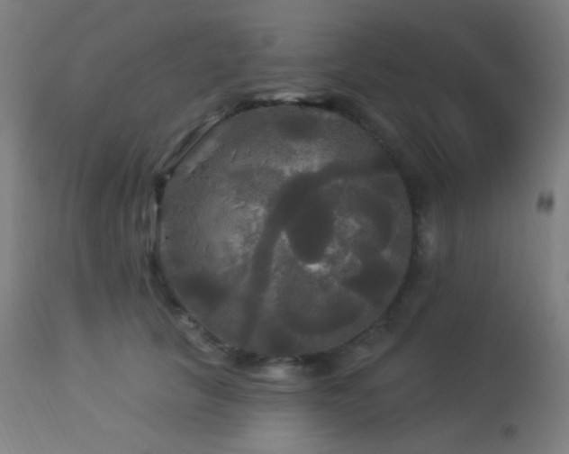 X0000114180657200910081500