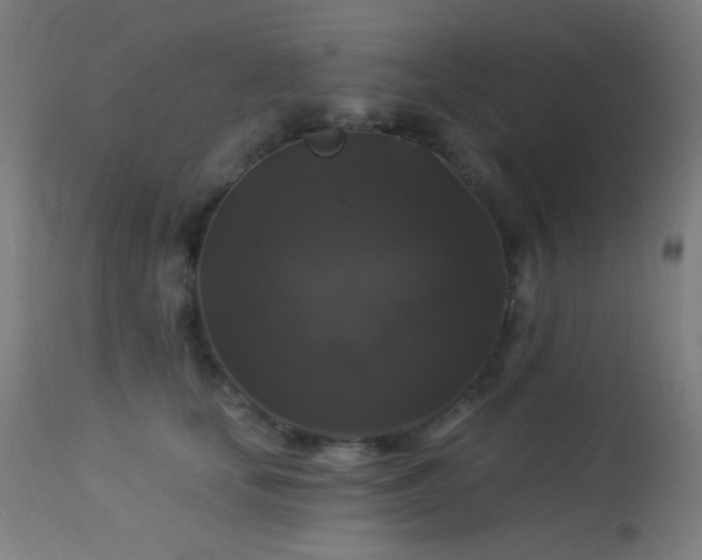 X0000114180659200910081500
