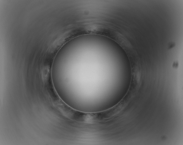 X0000114180660200910081500
