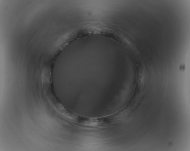X0000114180661200910081500