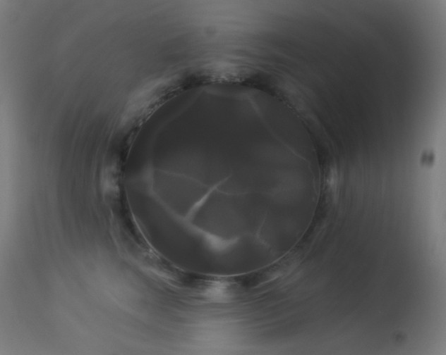 X0000114180663200910081500