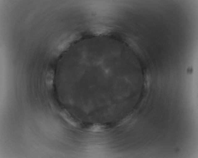 X0000114180664200910081500