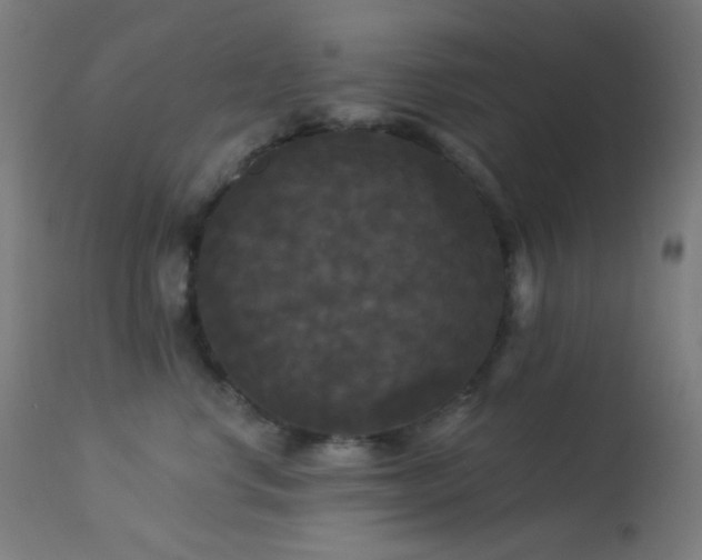 X0000114180668200910081500