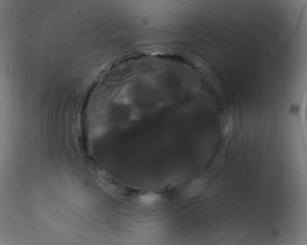 X0000114180669200910081500