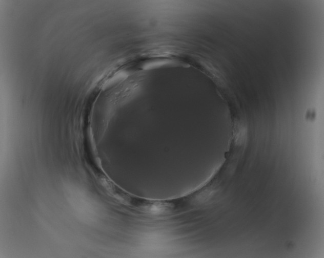 X0000114180670200910081500
