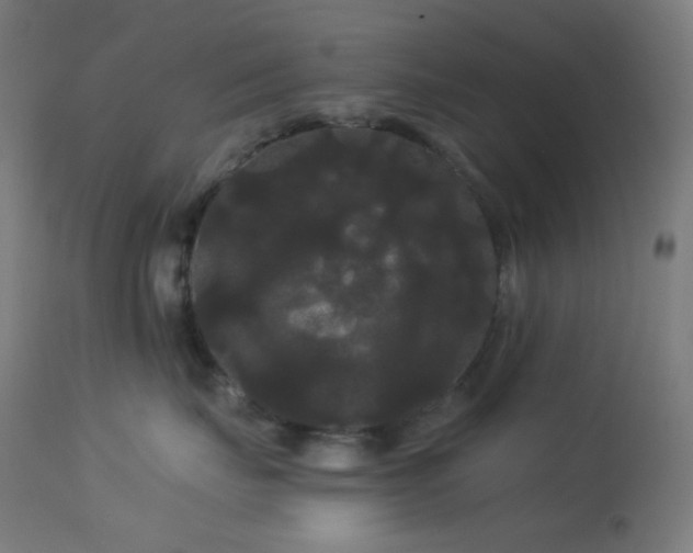 X0000114180671200910081500