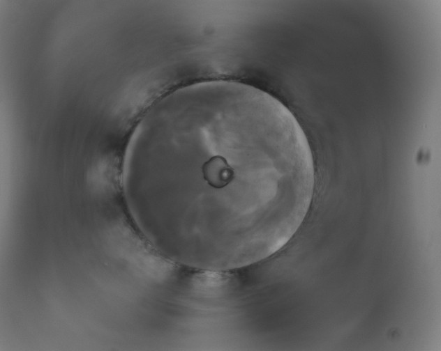 X0000114180672200910081500