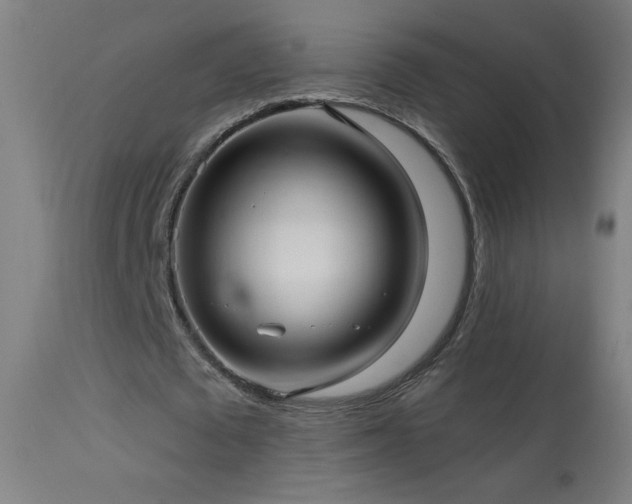 X0000114180673200910081500