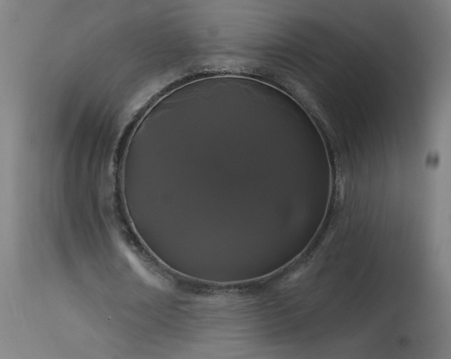 X0000114180674200910081500