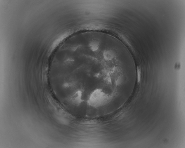 X0000114180675200910081500