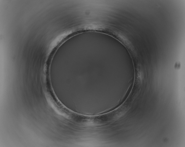 X0000114180678200910081459