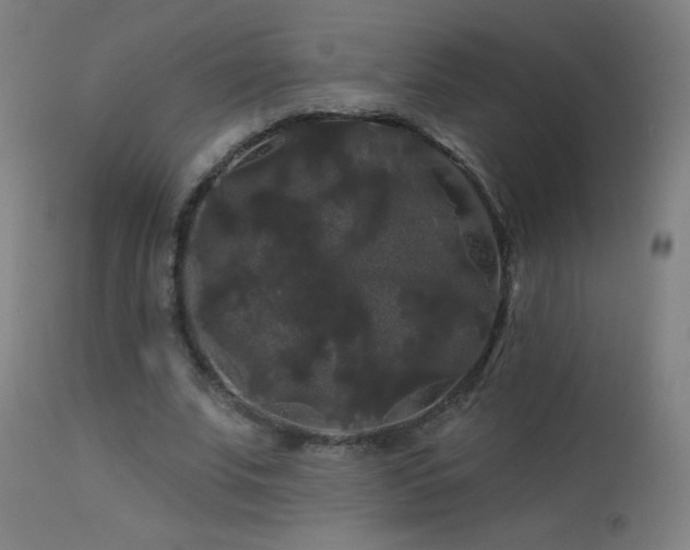 X0000114180679200910081459
