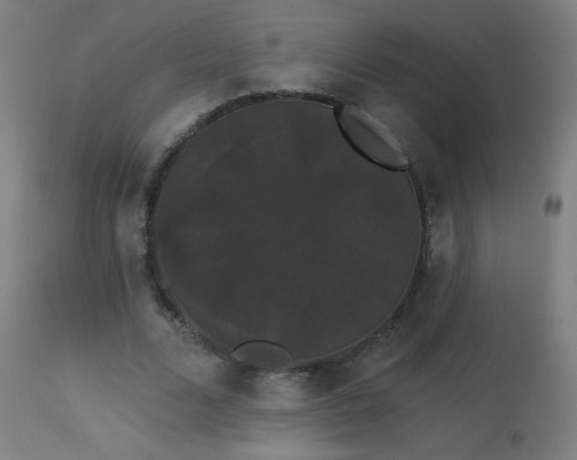 X0000114180680200910081459