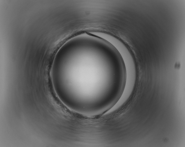 X0000114180681200910081459