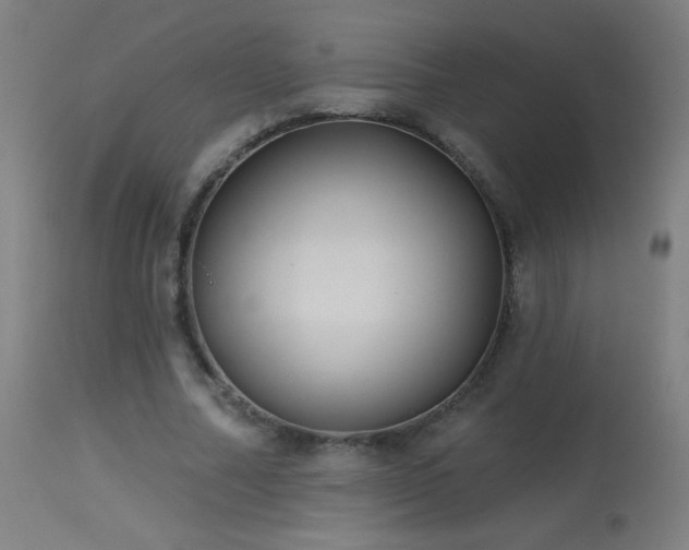 X0000114180682200910081459