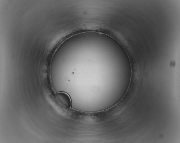 X0000114180683200910081459
