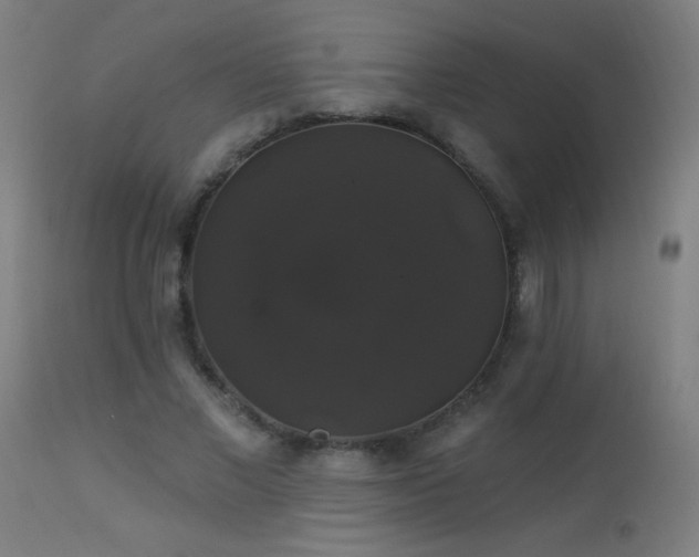 X0000114180685200910081459