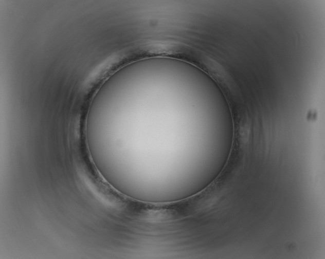X0000114180686200910081459