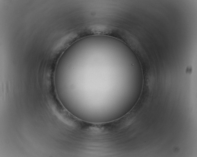 X0000114180690200910081459