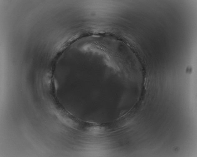 X0000114180691200910081459