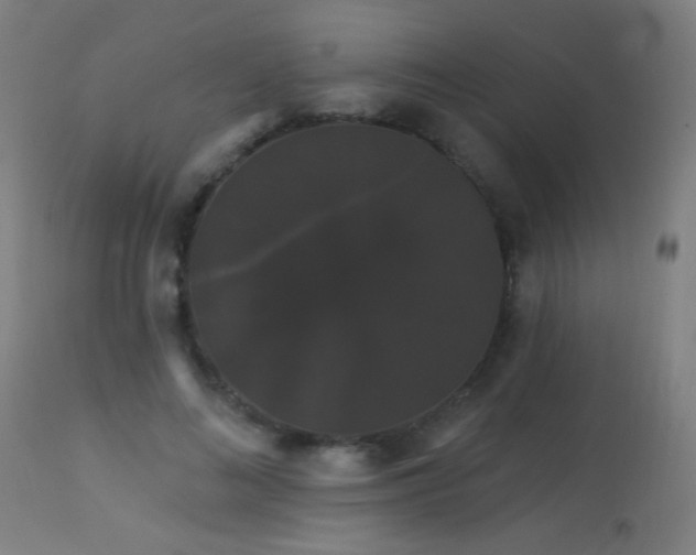 X0000114180692200910081459