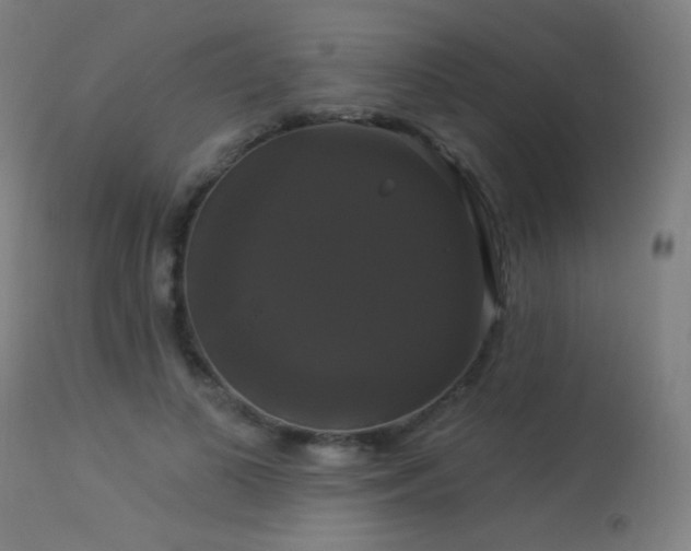 X0000114180693200910081459