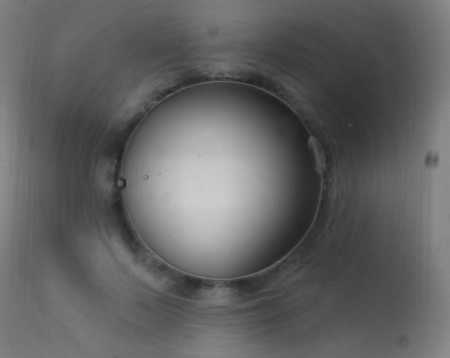 X0000114180695200910081459