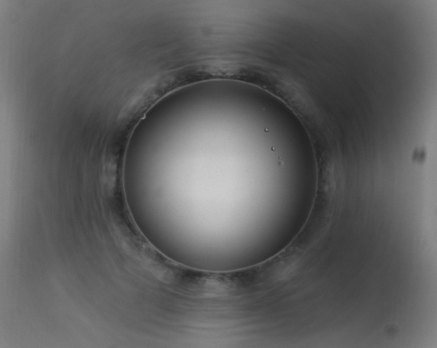 X0000114180697200910081459