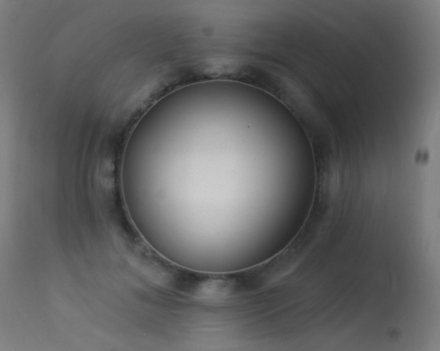 X0000114180700200910081459