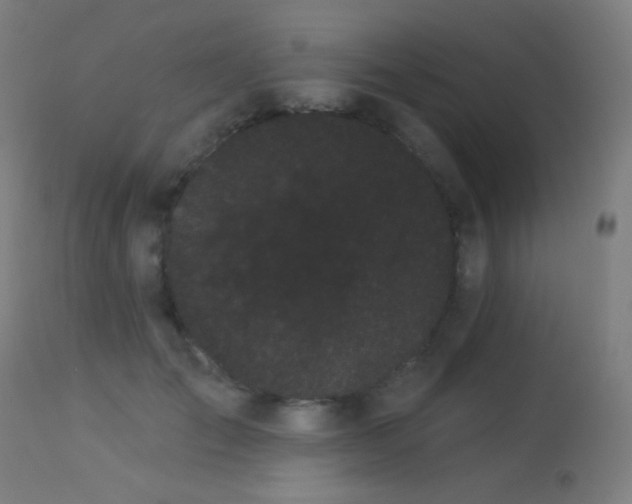 X0000114180701200910081459