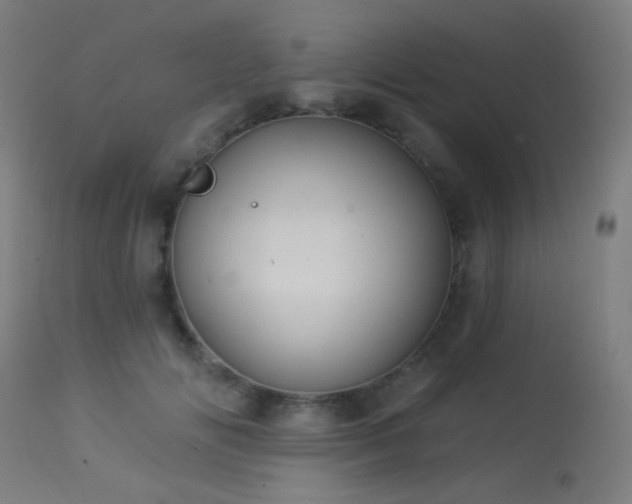 X0000114180702200910081459