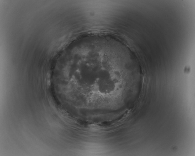 X0000114180703200910081459