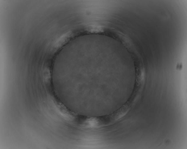 X0000114180704200910081459