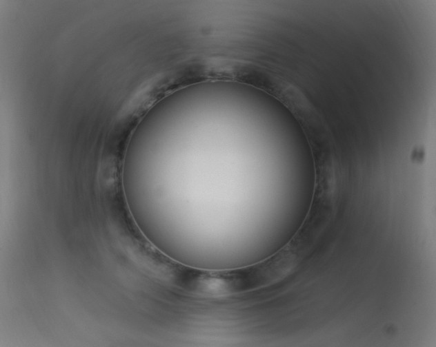 X0000114180706200910081459