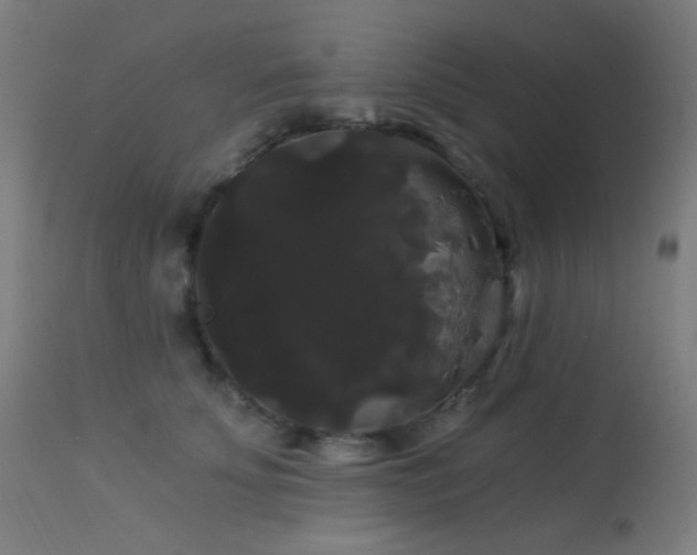 X0000114180707200910081459